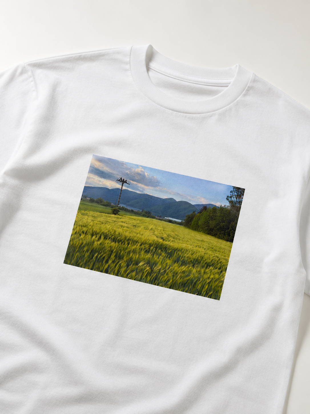 Archive box tee